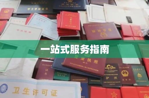 紫阳一站式服务指南