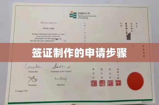 紫阳签证制作的申请步骤