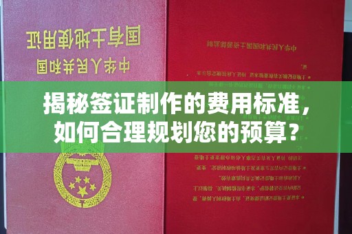 紫阳揭秘签证制作的费用标准，如何合理规划您的预算？