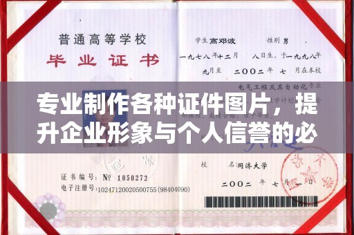 紫阳专业制作各种证件图片，提升企业形象与个人信誉的必备之选