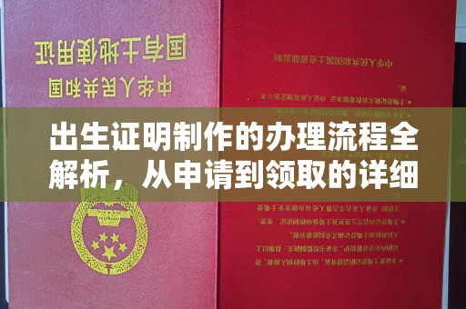 紫阳出生证明制作的办理流程全解析，从申请到领取的详细指南