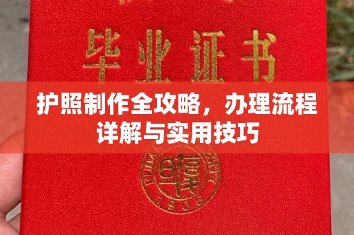 紫阳护照制作全攻略，办理流程详解与实用技巧